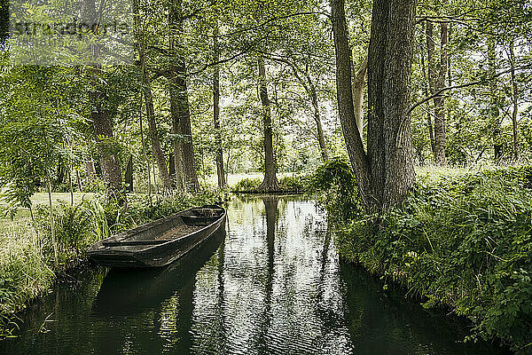 Boot am Kanal inmitten von Bäumen