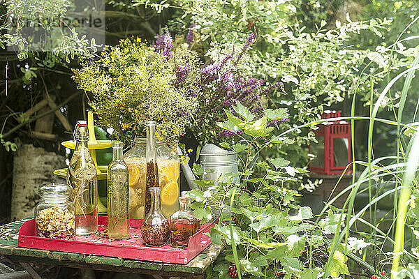 Frische Glasflaschen mit Öl und Essig am Tisch inmitten von Pflanzen im Garten