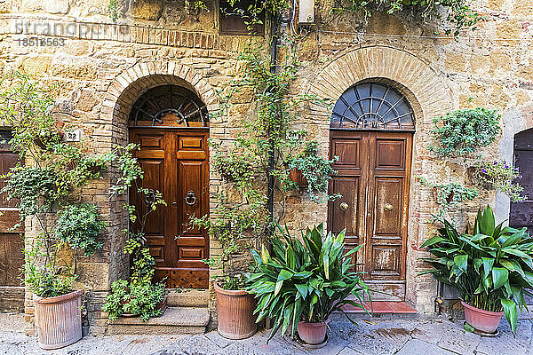 Italien  Toskana  Pienza  Topfpflanzen vor den Eingangstüren zweier nebeneinanderliegender Häuser