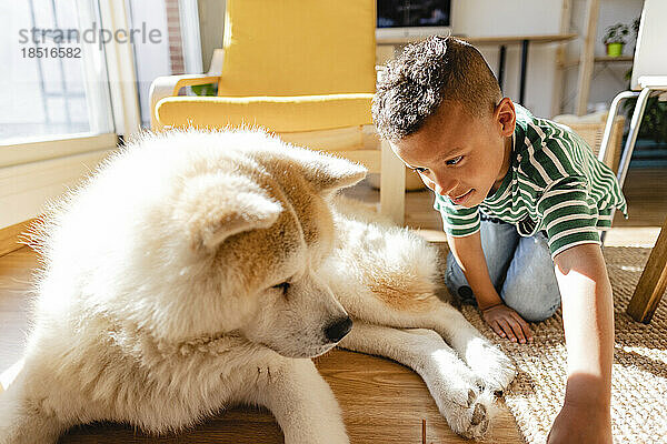 Junge spielt zu Hause mit Hund