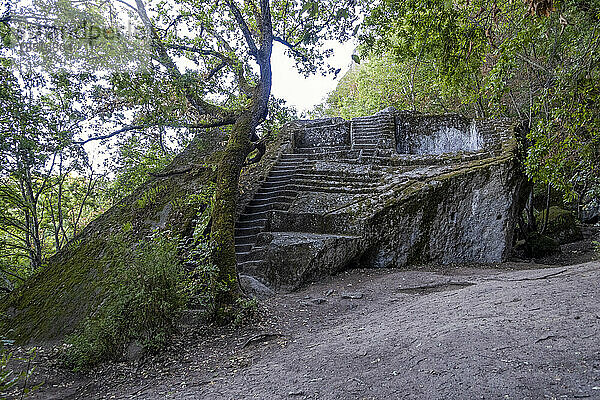 View of Etruscan Pyramid of Bomarzo