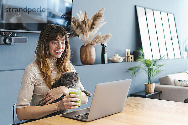 Glückliche Frau  die zu Hause Laptop mit Katze beobachtet