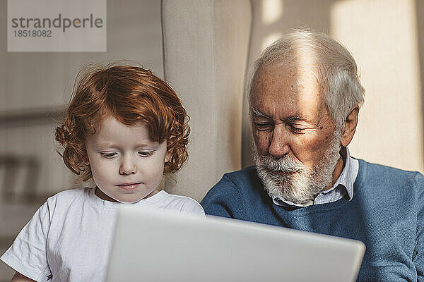 Großvater und Enkel benutzen Laptop zu Hause
