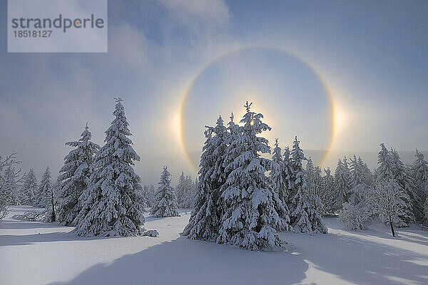 Germany  Saxony  Halo around sun setting over snow-covered forest in Erzgebirge range