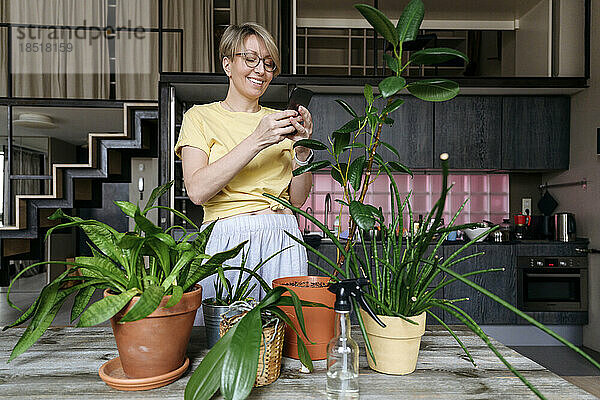 Reife Frau benutzt Smartphone und steht in der Nähe von Zimmerpflanzen