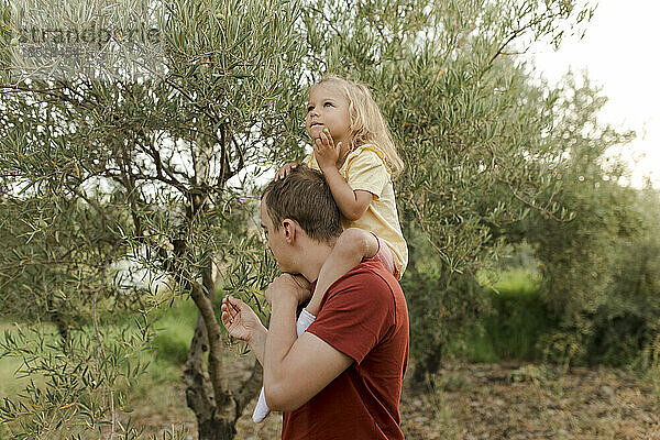 Mädchen mit Vater blickt auf Olivenbaum im Garten