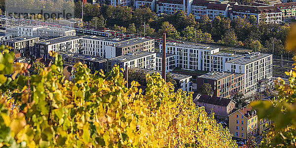 Deutschland  Baden-Württemberg  Esslingen  Moderne Mehrfamilienhäuser in der Neuen Weststadt mit herbstlichem Weinberg im Vordergrund