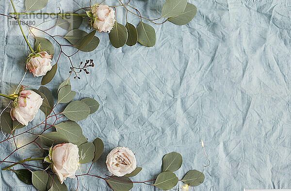Frische rosa Rosenblüten und Eukalyptusblätter als Dekoration mit Lichterkette auf blauem Stoff
