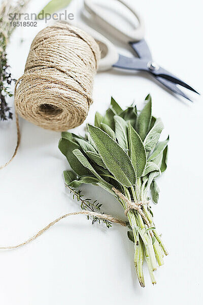 Fresh sage tied with rope on table at home