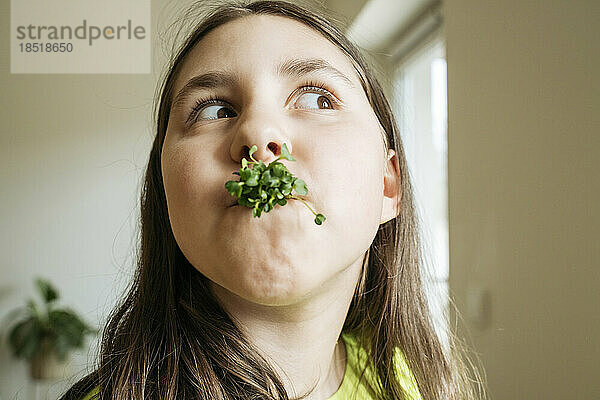 Mädchen isst Microgreens in der heimischen Küche