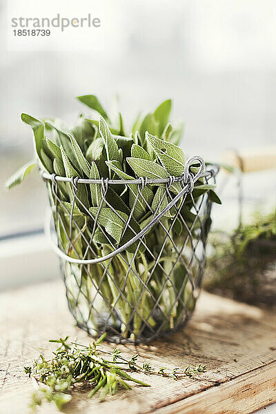 Fresh herbs in mesh basket
