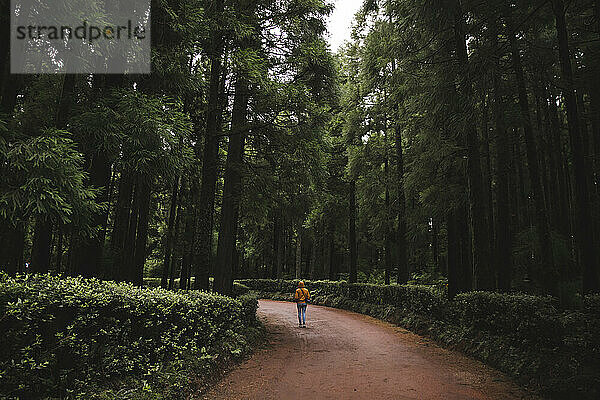 Frau geht auf Fußweg inmitten des Waldes
