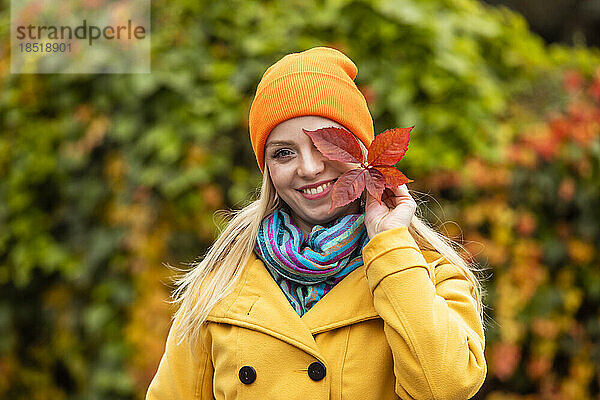 Glückliche Frau mit Strickmütze  die ihr Auge mit Herbstblättern im Park bedeckt