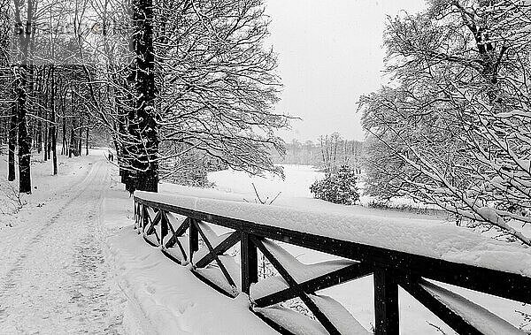 Winterlandschaft mit Wanderweg und einem hölzernen Brückengeländer. Im Hintergrund sind zwei nicht erkennbare Personen sichtbar. Die Schwarzweissaufnahme passt zu kalten Stimmung im Wald