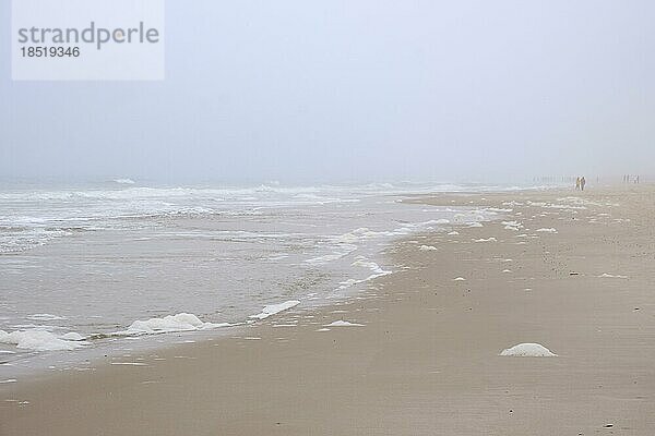 Einsamer Strand im Nebel  Sylt  Nordfriesische Insel  Nordfriesland  Nordsee  Schleswig-Holstein  Deutschland  Europa