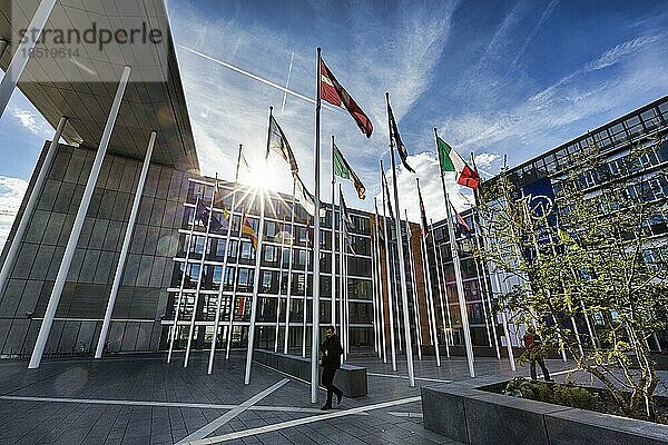 Europäisches Parlament  EU-Parlament  Flaggen europäischer Länder im Gegenlicht  Konrad Adenauer Komplex  Sonnenstrahlen  Europaviertel Kirchberg-Plateau  Luxemburg  Europa