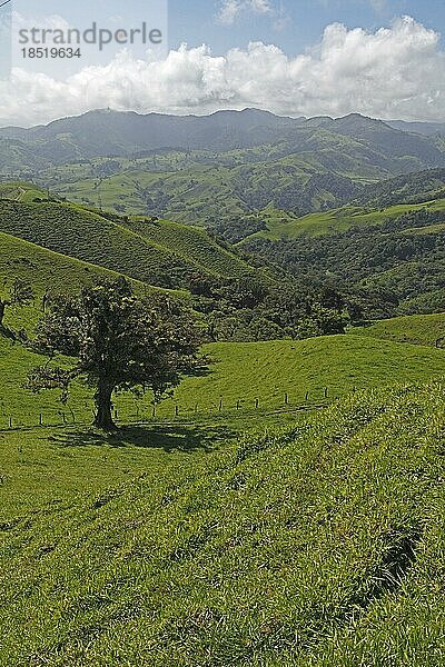 Grüne Landschaft  Tilarán  Provinz Guanacaste  Coste Rica