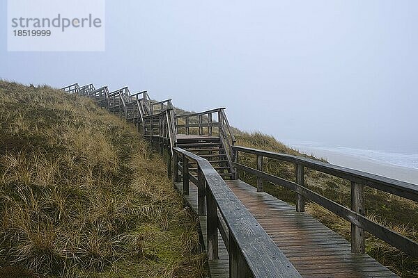 Holzsteg und Treppe durch die Dünen  Sylt  Nordfriesische Insel  Nordfriesland  Nordsee  Schleswig-Holstein  Deutschland  Europa
