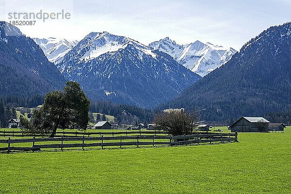 Landschaft südlich von Oberstdorf  hinten Berge der Allgäuer Alpen  Oberallgäu  Allgäu  Bayern  Deutschland  Europa