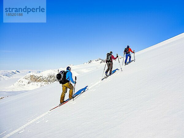 Skibergsteiger auf Skitour  Tasiilaq  Insel Ammassalik  Kommuneqarfik Sermersooq  Ostgrönland  Grönland  Nordamerika