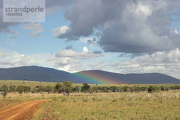 Aussicht auf einer Safari  Savanne. Landschaftsaufnahme in der weiten Savanne. Regenwolken und Regenbogen im taita hills reservat Nationalpark  kenia