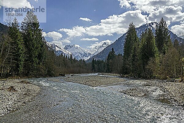 Trettach  Moor  hinten Berge der Allgäuer Alpen  Oberstdorf  Oberallgäu  Allgäu  Bayern  Deutschland  Europa