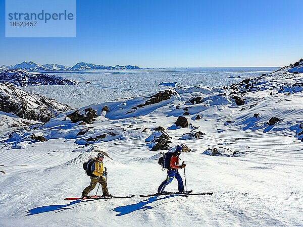 Skibergsteiger auf Skitour  hinten Packeis  Tasiilaq  Insel Ammassalik  Kommuneqarfik Sermersooq  Ostgrönland  Grönland  Nordamerika