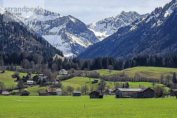 Landschaft südlich von Oberstdorf  hinten Berge der Allgäuer Alpen  Oberallgäu  Allgäu  Bayern  Deutschland  Europa