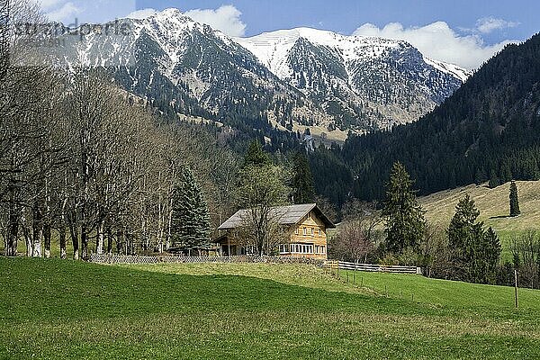 Hofmannsruh  hinten Ribikopf und Nebelhorn  Oberstdorf  Oberallgäu  Allgäu  Bayern  Deutschland  Europa