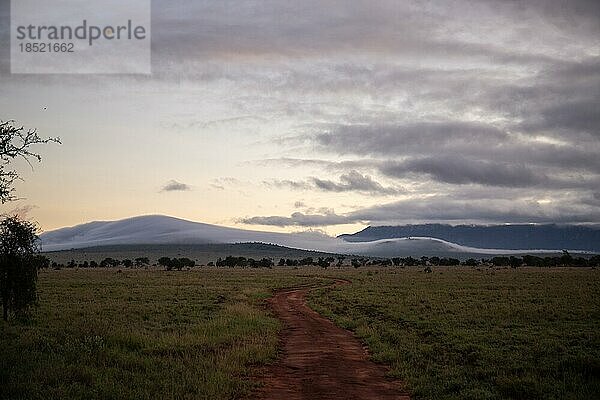 Aussicht auf einer Safari  Savanne. Landschaftsaufnahme nach einem heftigen Regenschauer in den Sonnenaufgang im Taita hills reservat  kenia