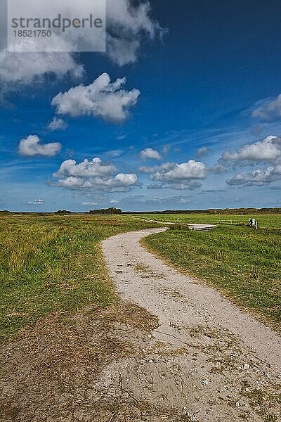 Blick auf einen Weg durch einen schönen Nationalpark in den Niederlanden auf der Insel Texel an einem sonnigen Sommertag