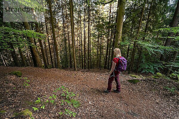 Wanderin im Wald  Bad Wildbad  Schwarzwald  Deutschland  Europa