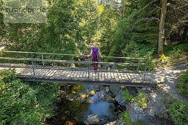 Frau steht auf Holzbrücke und schaut auf den Fluss auf dem Wanderweg Sprollenhäuser Hut  Bad Wildbad  Schwarzwald  Deutschland  Europa