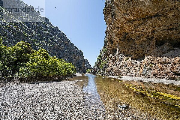 Schlucht mit Fluss Torrent de Pareis  Sa Calobra  Mallorca  Balearen  Spanien  Europa