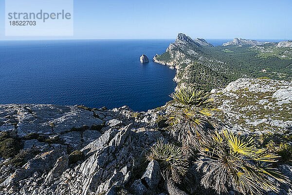 Ausblick auf felsige Klippen und Meer  Cap Formentor  Küstenlandschaft  Pollença  Mallorca  Balearen  Spanien  Europa