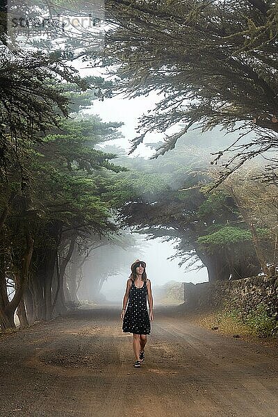 Eine Frau geht durch die nebligen Bäume in Richtung des Wacholderwaldes auf El Hierro. Kanarische Inseln