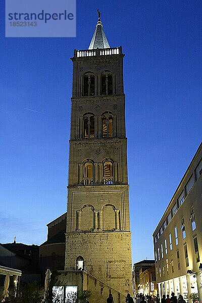 Campanile Sveti Stosija  Blaue Stunde  Zadar  Zadarska  Kroatien  Europa