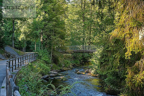 Flusslauf der Enz mit Brücke  Kurpark  Bad Wildbad  Schwarzwald  Deutschland  Europa