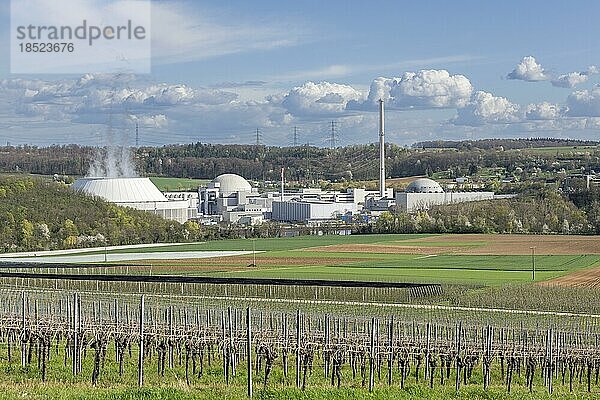 Kernkraftwerk Neckarwestheim  Feldlandschaft  Weinanbau  Wolkenhimmel  Neckarwestheim  Baden-Württemberg  Deutschland  Europa