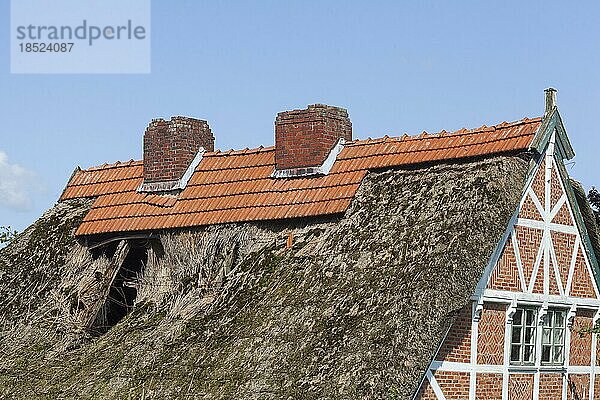 Reetdach  Schornsteine  Reetdachhaus  Steinkirchen  Altes Land  Niedersachsen  Deutschland  Europa