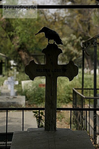 Silhouette einer Krähe auf einem Kreuz auf dem Indischen Christenfriedhof  Paharganj  Neu Delhi  Indien  Asien