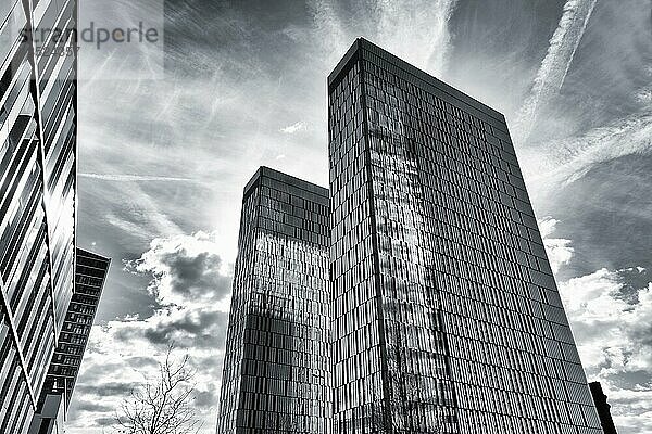 Gerichtshof der Europäischen Union  EuGH  Bürotürme im Gegenlicht  monochrom  moderne Architektur im Europaviertel Kirchberg-Plateau  Luxemburg  Europa