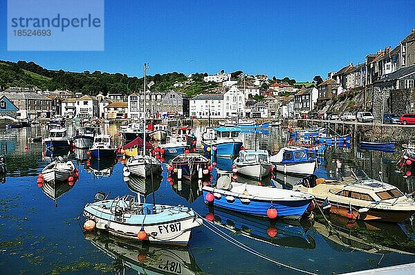 Mevagissy  Cornwall  Großbritannien  Europa