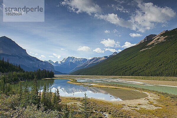 Der Mount Kitchener spiegelt sich im Beauty Creek Pool in der Nähe des Sunwapta River  Jasper National Park  Alberta  Kanada  Nordamerika