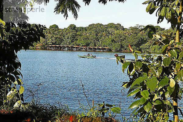 Kanal im Regenwald  Tortuguero Nationalpark  Provinz Limón  Costa Rica  Mittelamerika