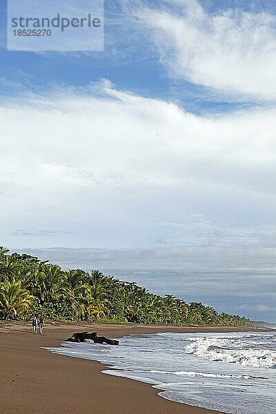 Abgeschiedener Sandstrand an der Karibikküste  Tortuguero Nationalpark  Provinz Limón  Costa Rica  Mittelamerika