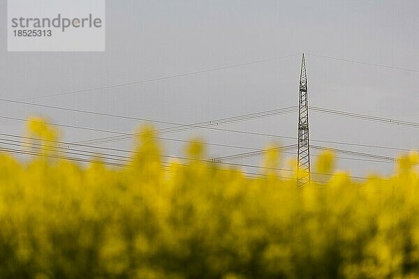 Strommasten zeichnen sich ab in einer Landschaft bei Glasewitz  05.05.2022.  Glasewitz  Deutschland  Europa