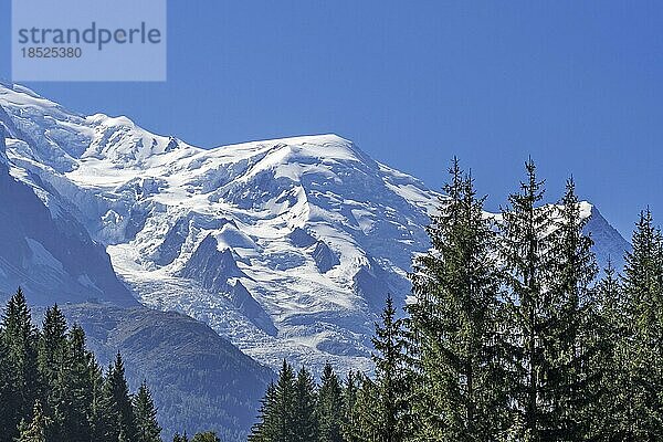 Französische Seite des Mont Blanc Massivs mit dem Dôme du Goûter  Gipfel und Glacier des Bossons im Sommer  Haute Savoie  Frankreich  Europa