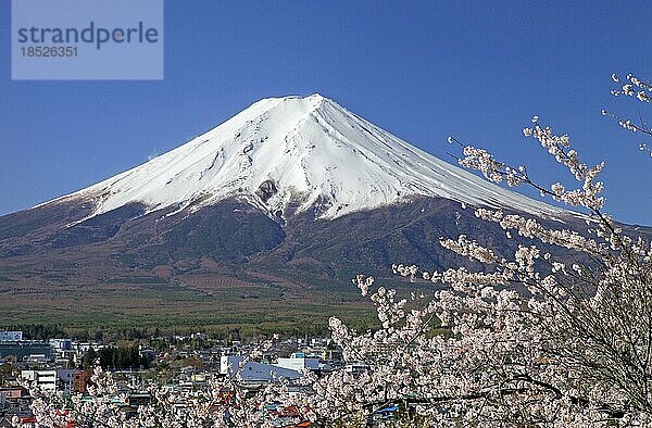 Berg Fuji und Kirschblüten Fujiyoshida Stadt Yamanashi Japan