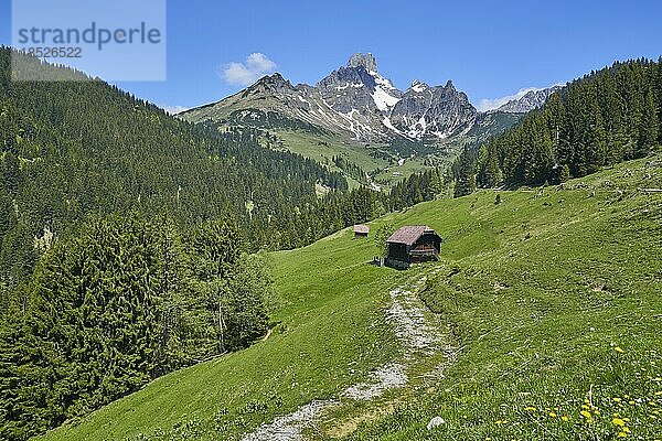 Aualm mit großer Bischofsmütze  schönes Wetter  Gosaukamm  Dachsteinmassiv  Filzmoos  Pongau  Salzburg  Österreich  Europa